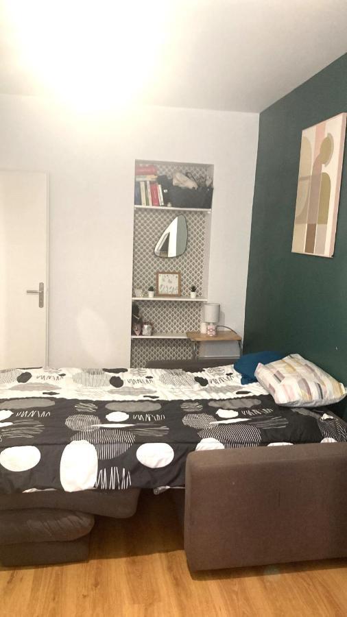 Chambre En Appartement Haussmannien En Centre Ville Saint-Etienne  Exteriör bild